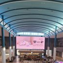 스타벅스 동부산테마파크 이미지