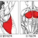 장타의 비밀…스윙 연습보다 `골프 근육` 키워라 이미지