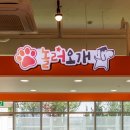 놀러오개 이미지