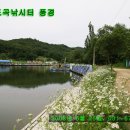 서안성주유소 이미지