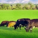 메디칼허브약국 이미지