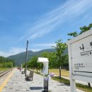 아리버거 베이커리 네이버블로그