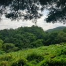 남구-164 이미지