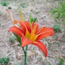 양산부산대학교병원 이미지