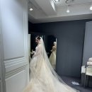 [Wedding 6] 웨딩드레스 정하기 - 메종레브 지정, 메종레브 이미지 투어 후기