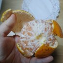 쌍둥이농장 이미지