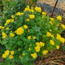 올라비올라 B to B | &#34;올라비올라 B to B&#34; 2025. 12. 5.(금) 19:30