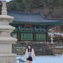 25&#39; Jan. &#34;ZEN-uary&#34;