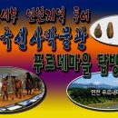 푸르네 티스토리