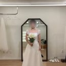 모드니장식 | 모드니 드레스 본식 10벌 피팅 후기(1) / 키160 팔뚝살 부자