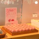시민제과포항 네이버블로그