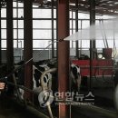 추동리목장 이미지