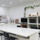 테일러퍼피 이미지