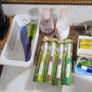 (주)척산온천휴양촌 | 5만 원으로 우리끼리만 온천을 즐기자~ 속초 척산온천휴양촌 가족탕 후기