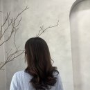 블레스헤어샵