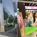 올리브영 홍대타운 이미지