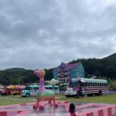 엠씨와이캠프