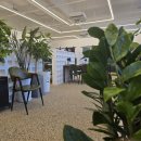 천하식당 | 양주 한정식 밥상천하 양주점, 15첩 들밥과 역대급 고등어구이의 완벽한 조화