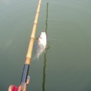 대성낚시터 이미지