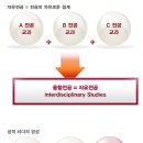 서울대-관악-자유전공학부