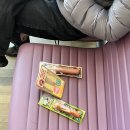 미니호텔 지(Mini Hotel G) | [홍콩 마카오] 1일차 옥토퍼스 가성비 숙소 타이청 베이커리 소호거리