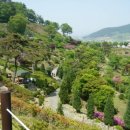 숲쟁이꽃동산 이미지