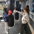 삼조미트 이미지