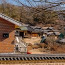 풍기인삼삼계탕 이미지