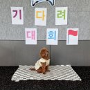 마실오개 | [놀러오개 서대문점] 견생사진 / 놀러오개 무제한 이용후기