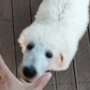 바언제주(바람의언덕) 네이버블로그