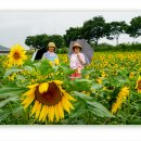 장성공원2 이미지