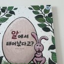 스토리가 있는 역사 | 7세 역사책 천개의 바람 한국사 vs 웅진 스토리캡슐 우리역사 비교 후기
