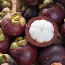 고씨네 농장 이미지