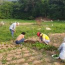 솔밭농장 이미지