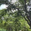 범바위식당 이미지