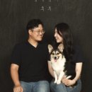 스튜디오코기 이미지