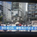 오늘 경산 하양 40.5°C 올해 최고기온 이미지