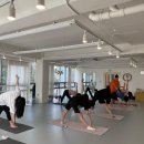 바디케어짐 이미지