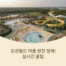 오션월드 여름 완전 정복! 실시간 꿀팁과 방문자 리얼 후기