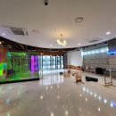 피터펫카페 이미지