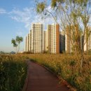 배곧생명공원 이미지