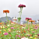 우산공원3 이미지