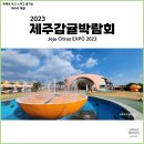 서귀포농업기술센터 | 2023 제주감귤박람회 (서귀포농업기술센터) ft. 감귤따기체험