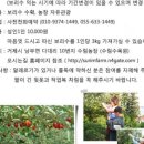 수림 농장 이미지