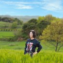 합도초교 이미지