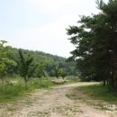 가조고견사 이미지