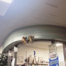 오정진내과의원 이미지