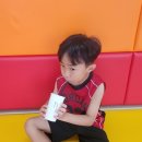 경희대 최강태권도장 이미지