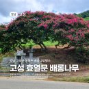 동해면사무소 이미지