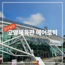 에어로빅 | [린다일상] 고양체육관 파워에어로빅 대기 성공 후기! 첫 수업 다녀왔어요.